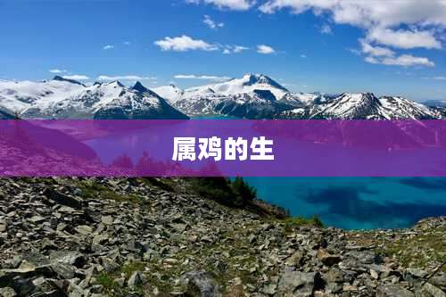 属鸡的生