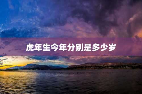 虎年生今年分别是多少岁