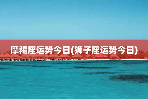 摩羯座运势今日(狮子座运势今日)