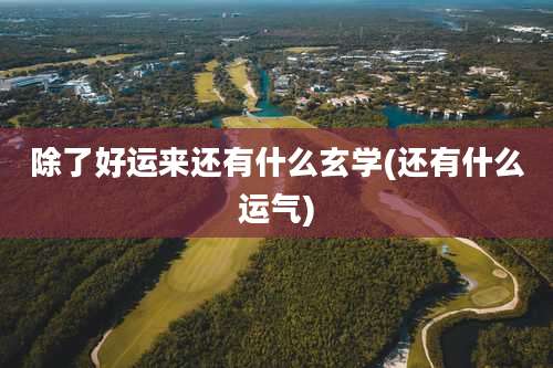 除了好运来还有什么玄学(还有什么运气)
