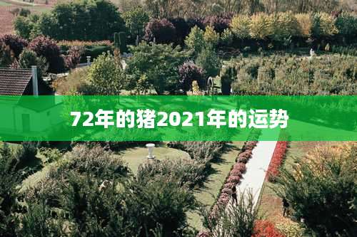 72年的猪2021年的运势