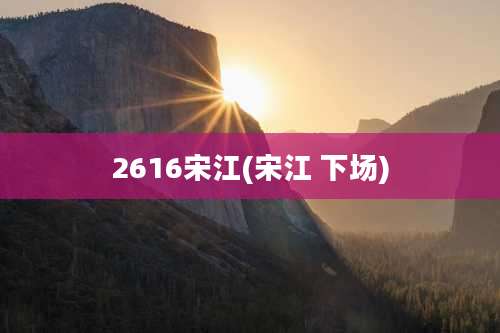 2616宋江(宋江 下场)