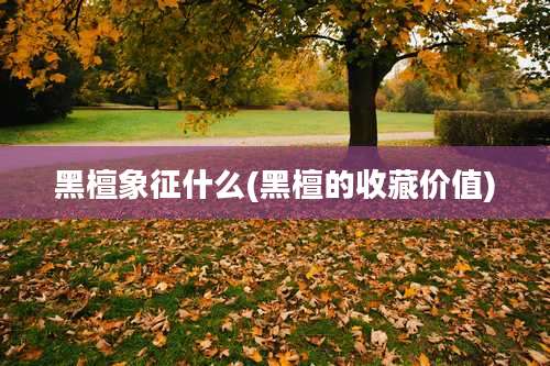 黑檀象征什么(黑檀的收藏价值)