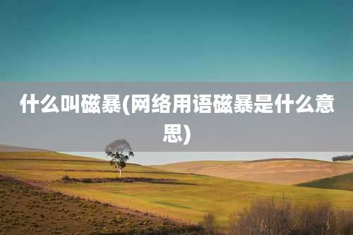 什么叫磁暴(网络用语磁暴是什么意思)