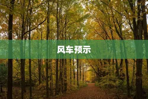 风车预示