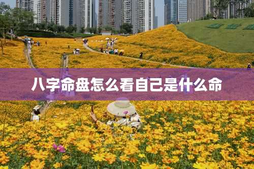 八字命盘怎么看自己是什么命