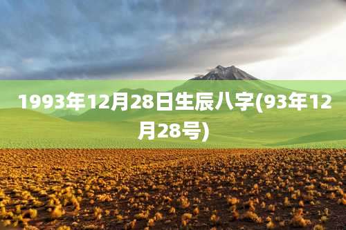 1993年12月28日生辰八字(93年12月28号)