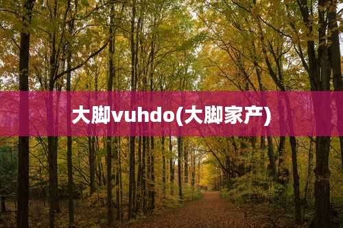 大脚vuhdo(大脚家产)