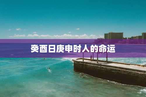 癸酉日庚申时人的命运