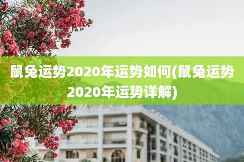 鼠兔运势2020年运势如何(鼠兔运势2020年运势详解)
