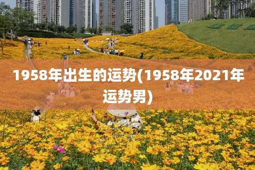 1958年出生的运势(1958年2021年运势男)