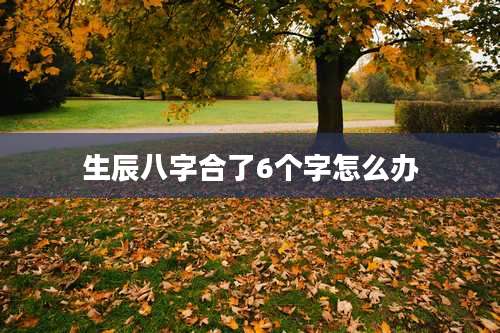 生辰八字合了6个字怎么办