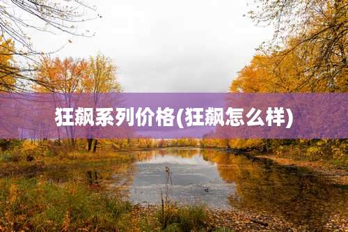 狂飙系列价格(狂飙怎么样)