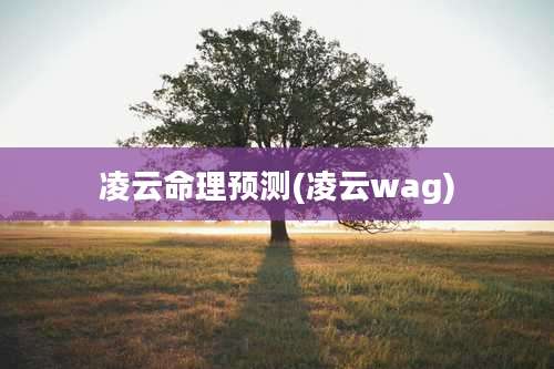 凌云命理预测(凌云wag)