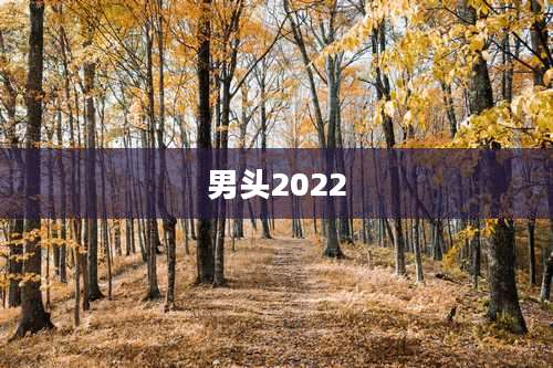 男头2022