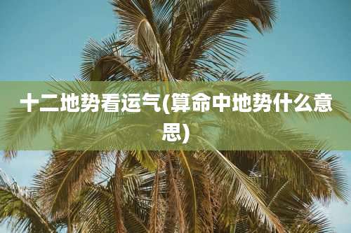 十二地势看运气(算命中地势什么意思)