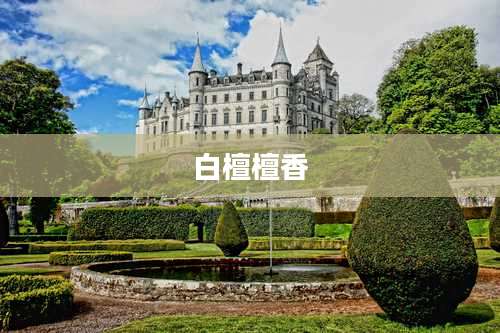 白檀檀香