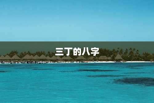 三丁的八字