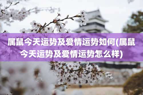 属鼠今天运势及爱情运势如何(属鼠今天运势及爱情运势怎么样)