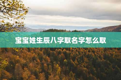 宝宝姓生辰八字取名字怎么取