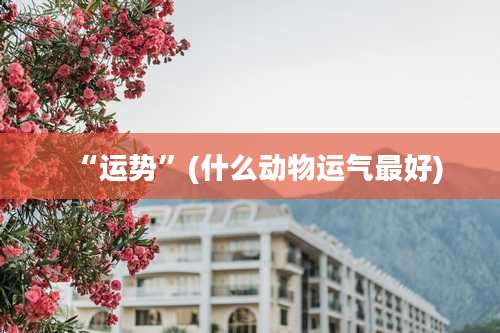 “运势”(什么动物运气最好)