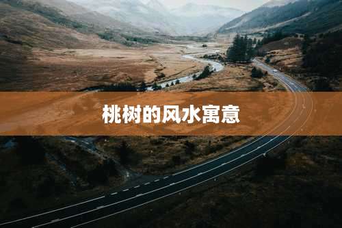 桃树的风水寓意