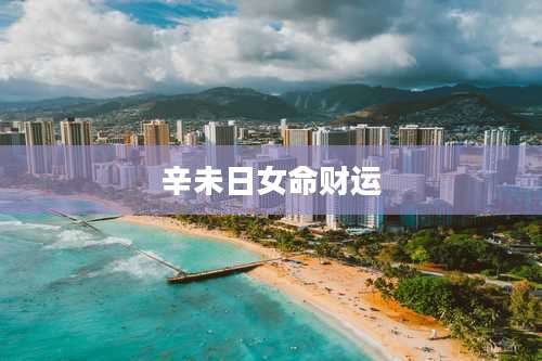 辛未日女命财运