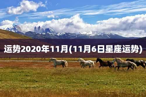 运势2020年11月(11月6日星座运势)