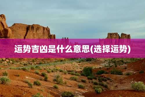 运势吉凶是什么意思(选择运势)