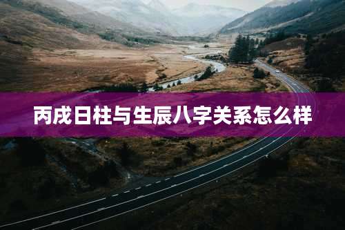 丙戌日柱与生辰八字关系怎么样
