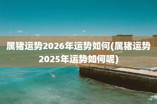 属猪运势2026年运势如何(属猪运势2025年运势如何呢)