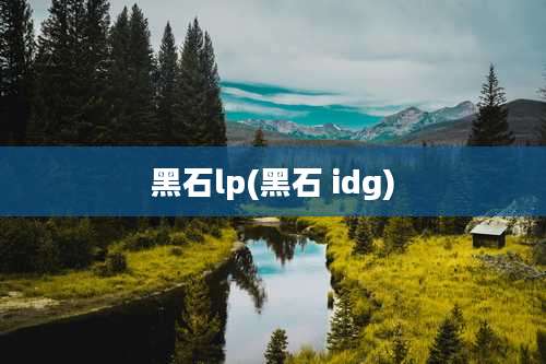 黑石lp(黑石 idg)