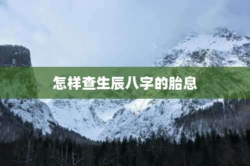 怎样查生辰八字的胎息