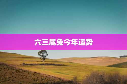 六三属兔今年运势