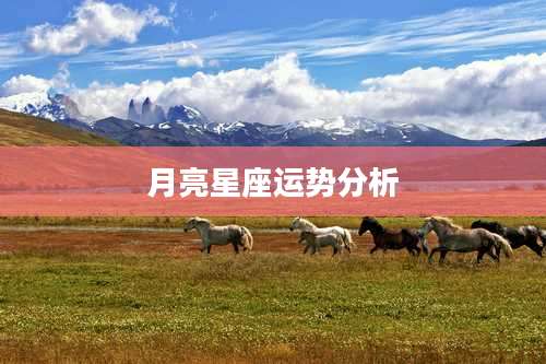 月亮星座运势分析