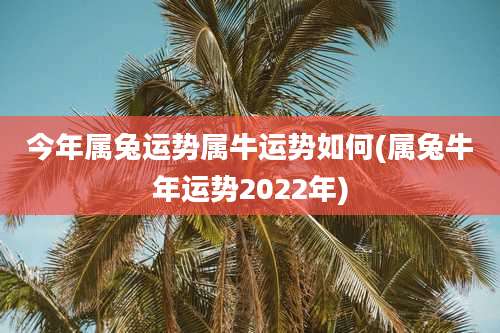今年属兔运势属牛运势如何(属兔牛年运势2022年)