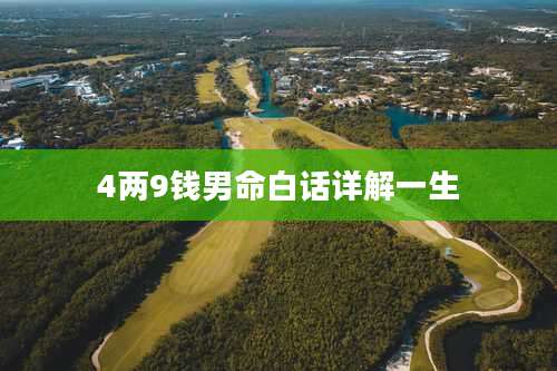 4两9钱男命白话详解一生