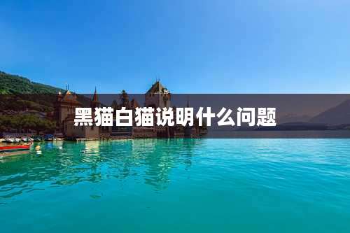 黑猫白猫说明什么问题