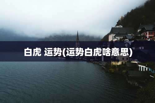 白虎 运势(运势白虎啥意思)