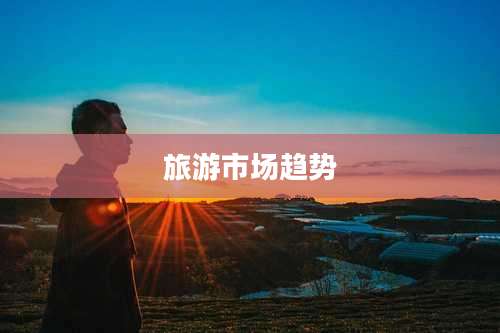 旅游市场趋势