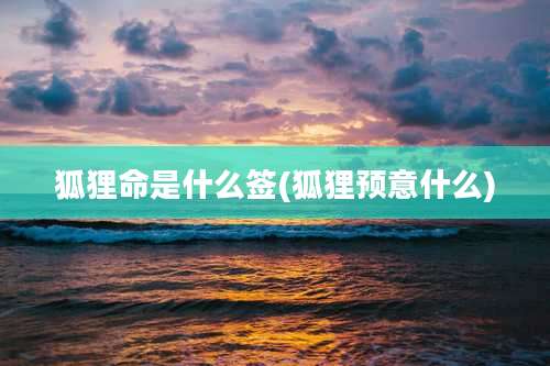 狐狸命是什么签(狐狸预意什么)