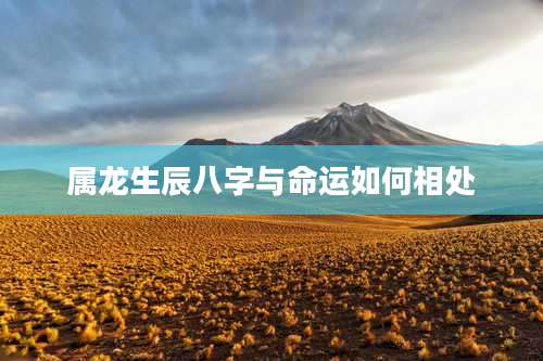 属龙生辰八字与命运如何相处