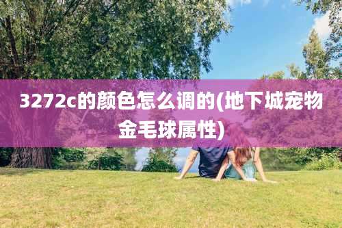 3272c的颜色怎么调的(地下城宠物金毛球属性)