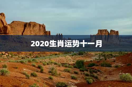 2020生肖运势十一月