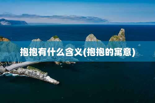 抱抱有什么含义(抱抱的寓意)