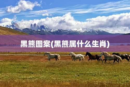 黑熊图案(黑熊属什么生肖)