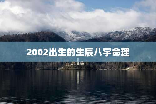 2002出生的生辰八字命理