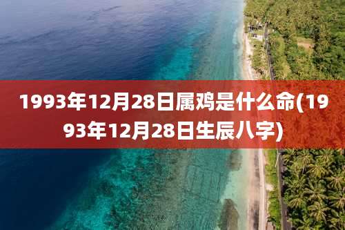 1993年12月28日属鸡是什么命(1993年12月28日生辰八字)