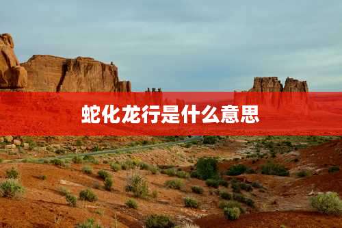 蛇化龙行是什么意思