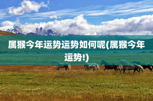 属猴今年运势运势如何呢(属猴今年运势!)